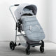 Grey (2433)