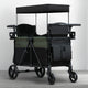 Black and Green (2378)