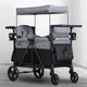 Grey Shadow (2363)