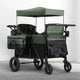 Black and Green (2378)