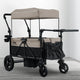 Black and Tan (2473)