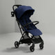 Navy (2449)